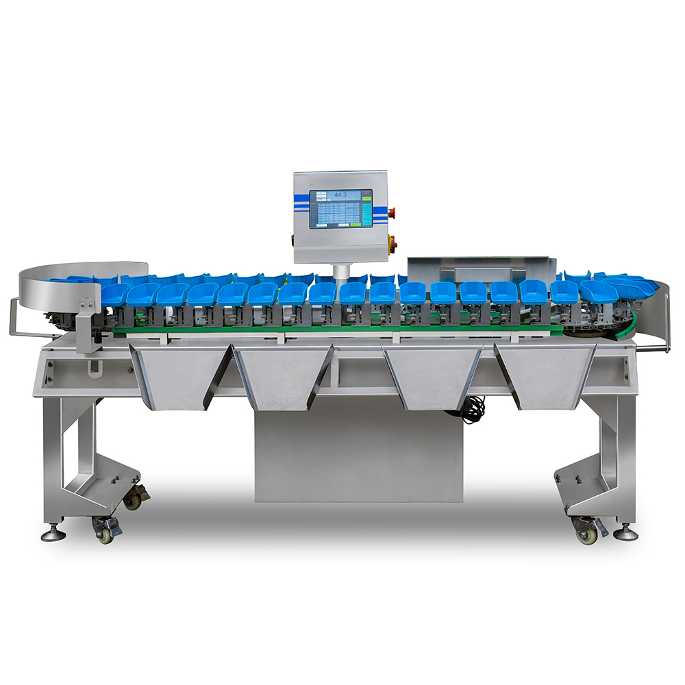 Auto Rotating Trays Weight Grader | Weight Sorting Machine