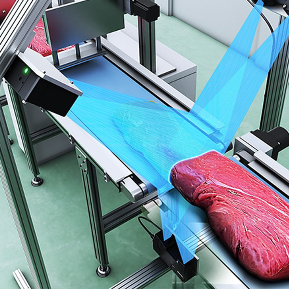 Meat Surface Defect and Segmentation Vision Inspection System