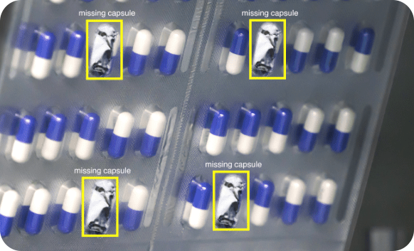 Auto Blister Pack Tablet Presence Vision Inspection Systems(pic2)