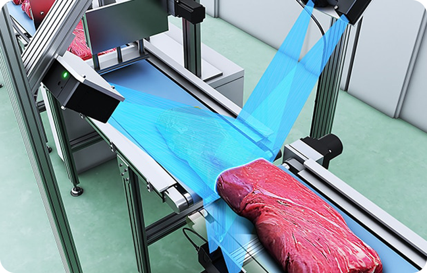 Meat Surface Defect and Segmentation Vision Inspection System(pic1)