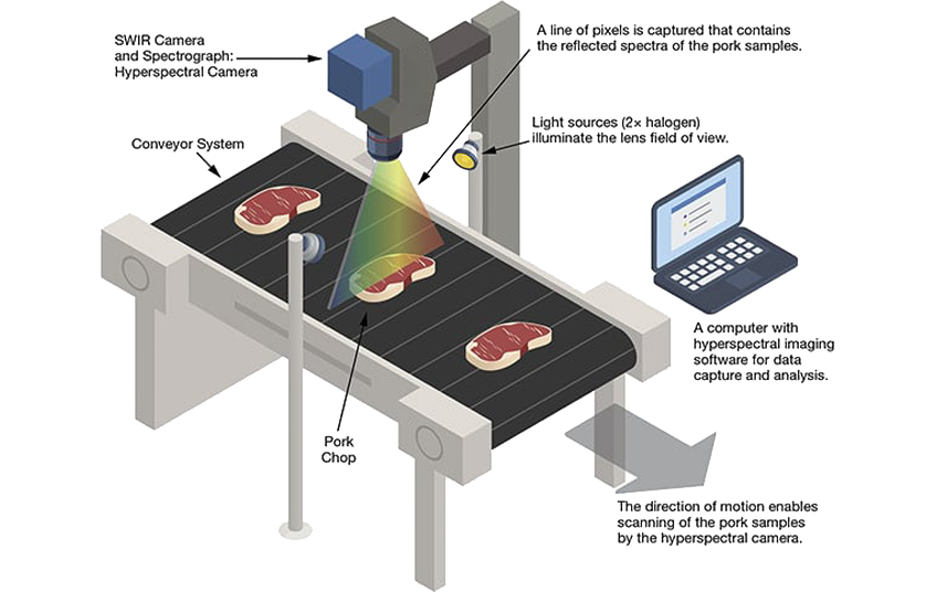 Meat Surface Defect and Segmentation Vision Inspection System(pic3)