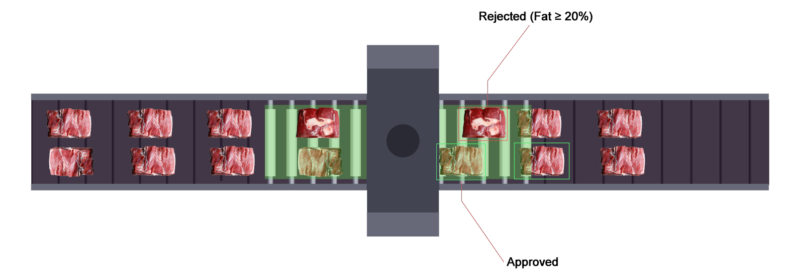 Meat Surface Defect and Segmentation Vision Inspection System(pic2)