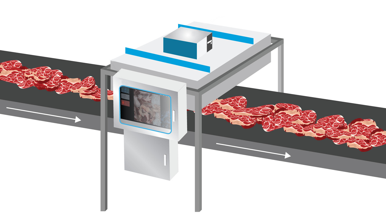 Meat Products Foreign Object Detection Machine Vision System(pic3)