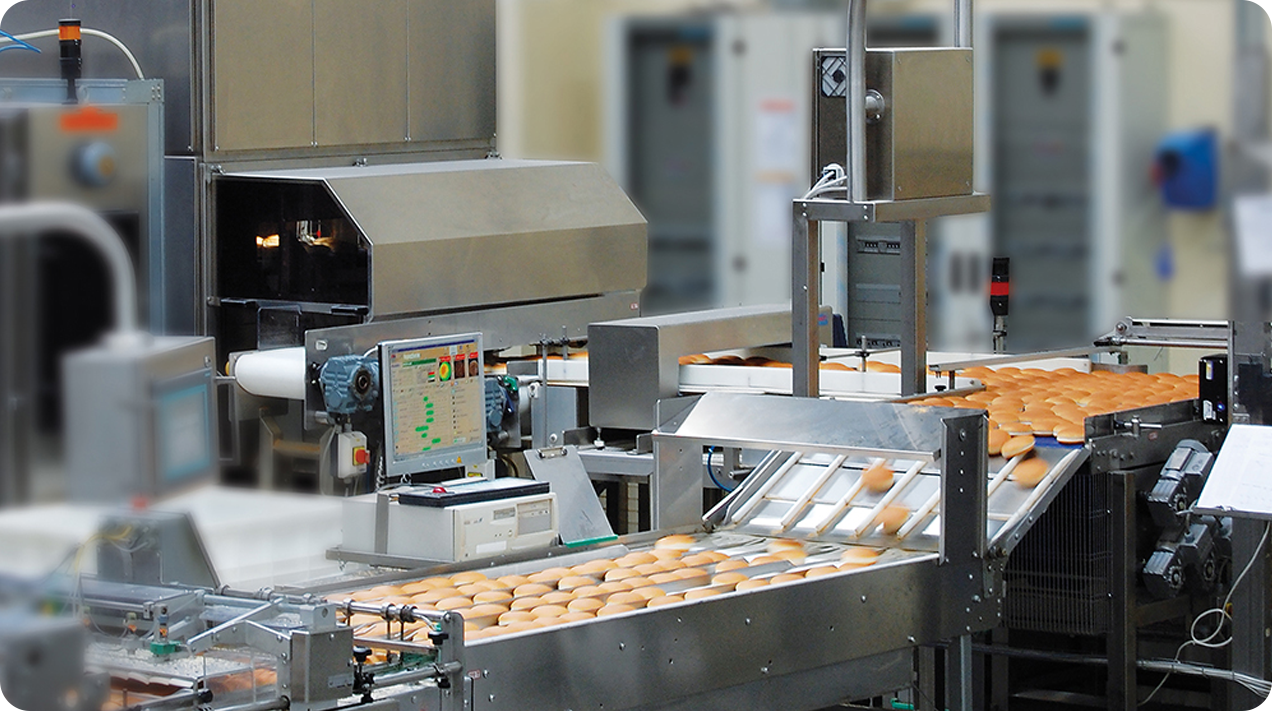 Baked Goods Appearance and Size Vision Inspection Systems(pic2)