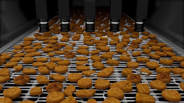 Frozen Food Appearance & Packaging Vision Inspection Machine(pic1)