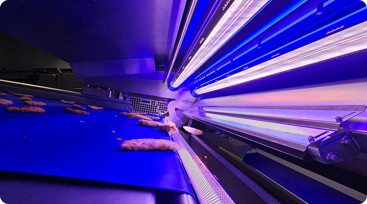 Frozen Food Appearance & Packaging Vision Inspection Machine(pic3)